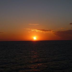 Meet your Posher, Itzel